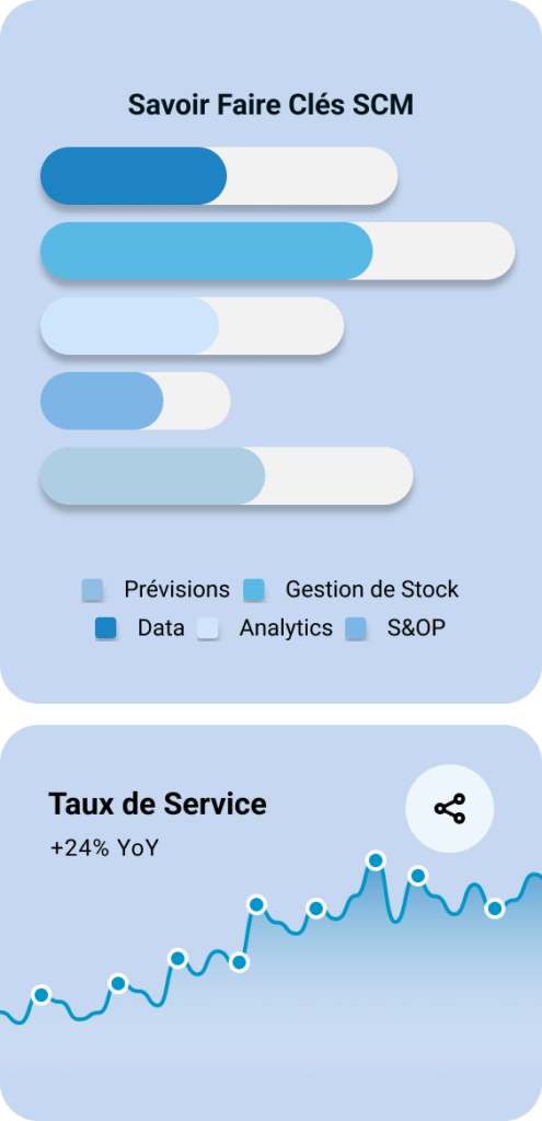 Programme Supply Chain